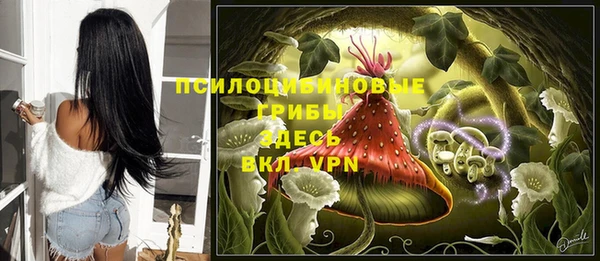 эйфоретик Беломорск