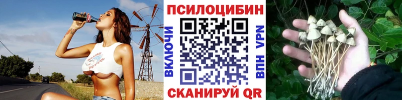 omg tor  Верхний Тагил  Псилоцибиновые грибы GOLDEN TEACHER  сколько стоит 